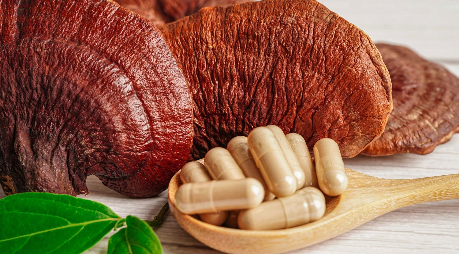 Best Adaptogens for Stress and Sleep (2025): Science-Backed Guide to Deeper Recovery