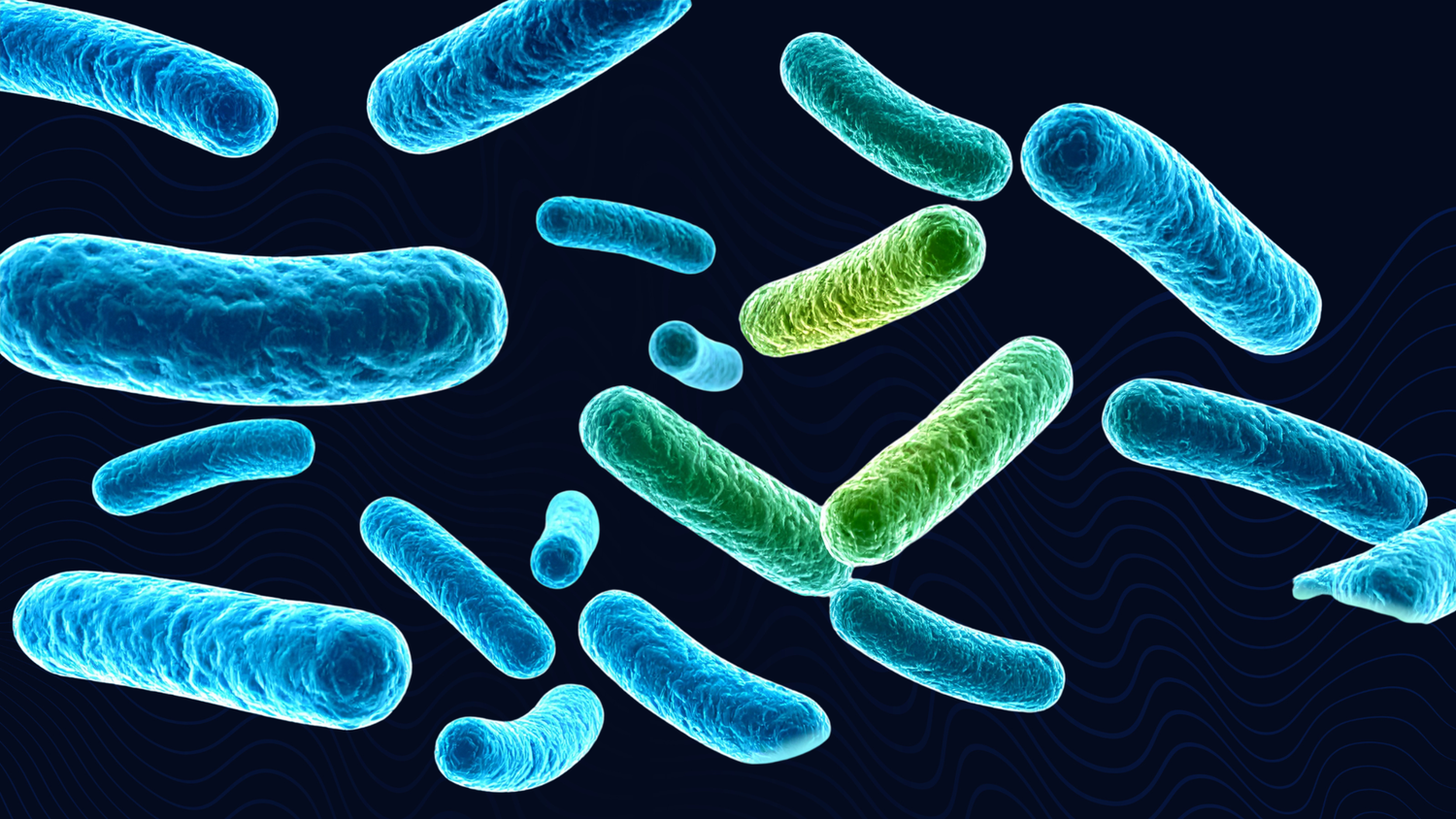 The Role of Sleep in Digestive Health